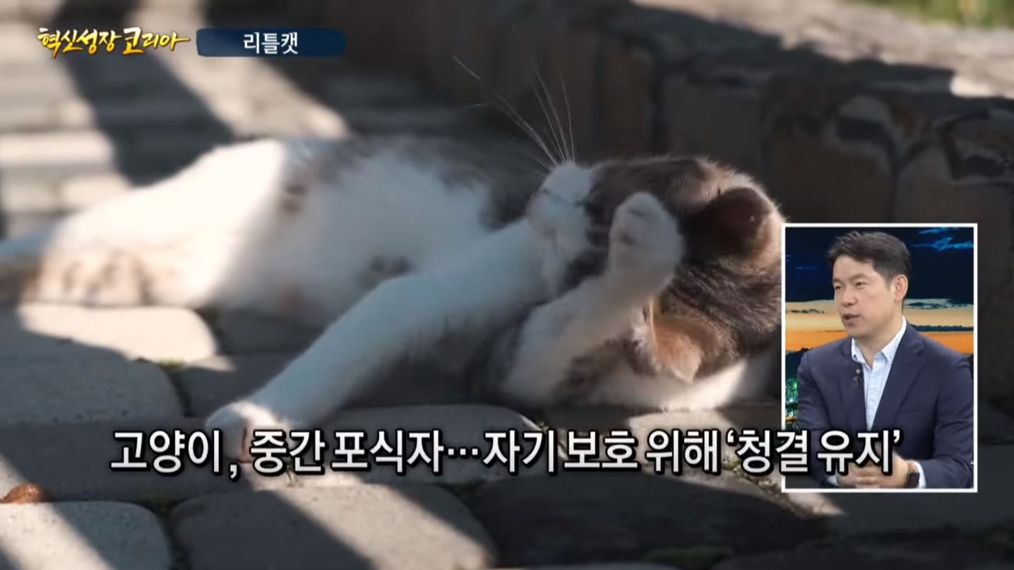한국경제TV '혁신성장코리아'