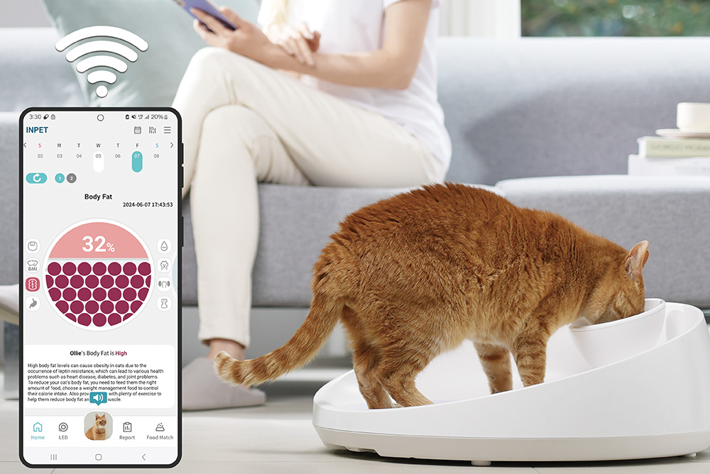 Smart Cat Bowl INPET