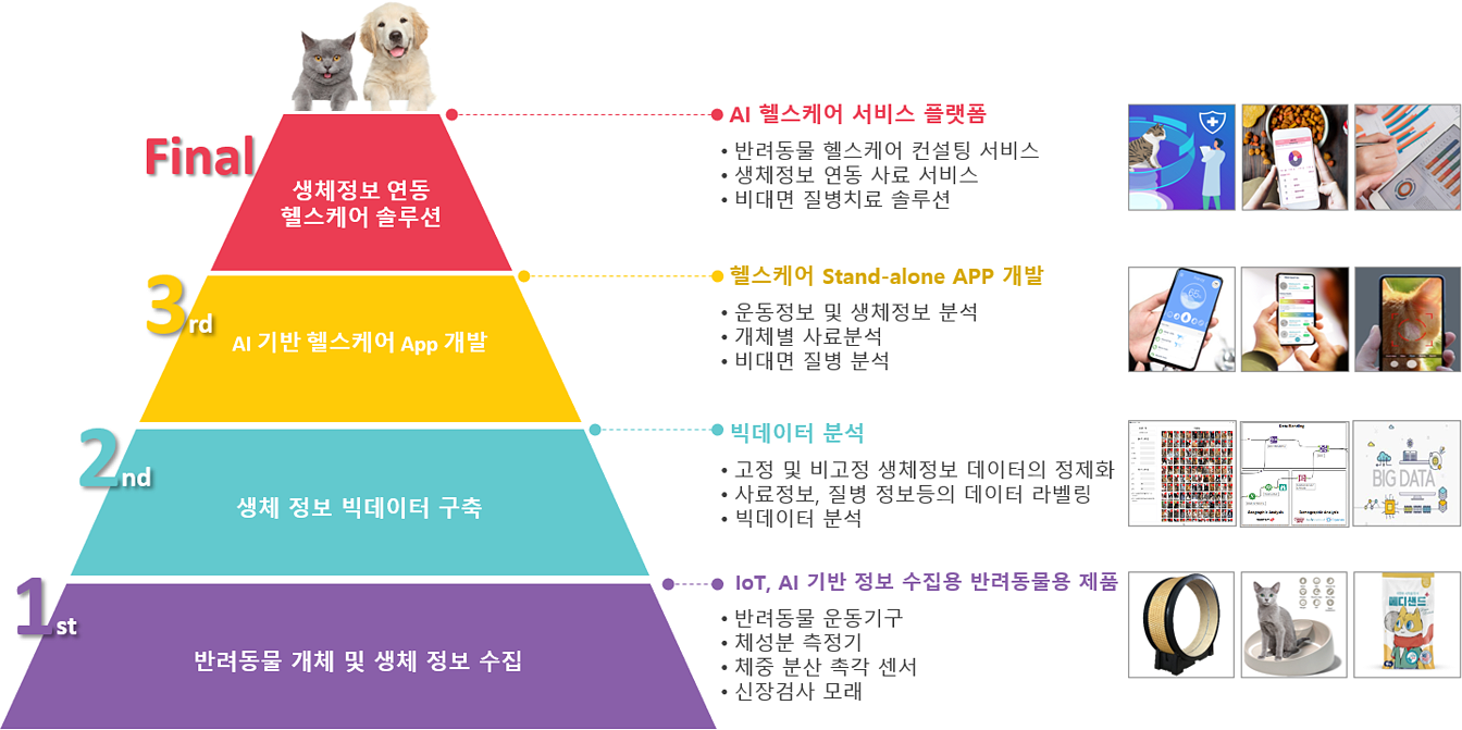 리틀캣 중장기 로드맵