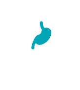 Visceral fat