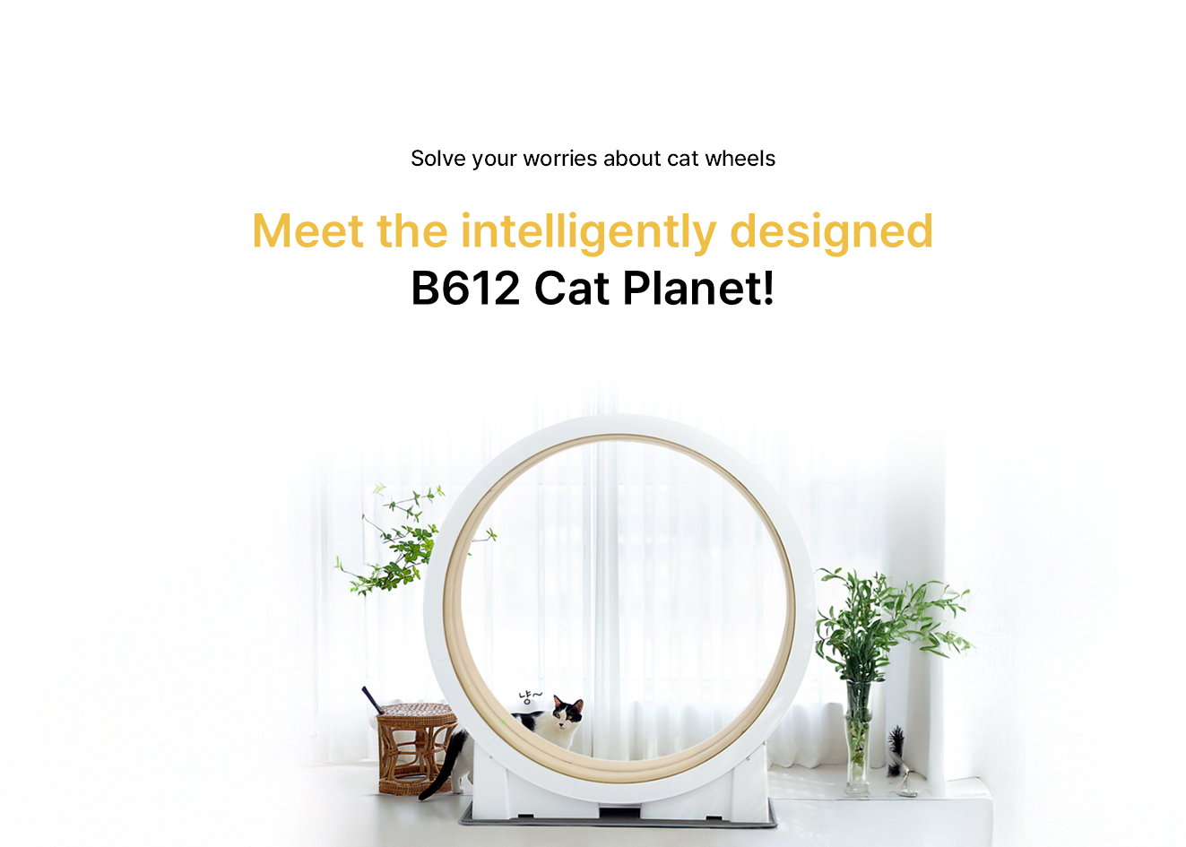 B612 Cat Planet